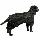 Regnoverall Dot thumbnail