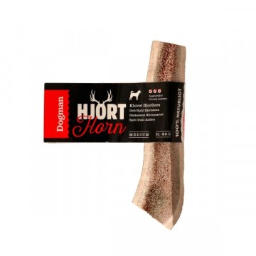 Hjortehorn