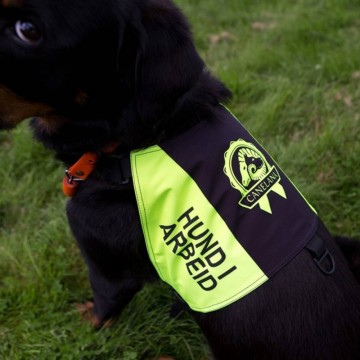 Canelana markeringsdekken (Hund i arbeid)