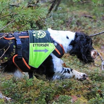 Canelana ettersøksdekken