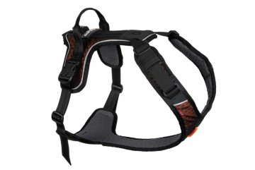 Rock Harness